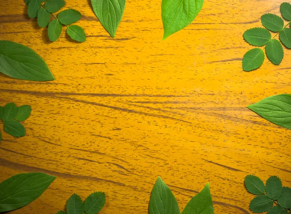 Leaves on wood background — Stock Photo, Image
