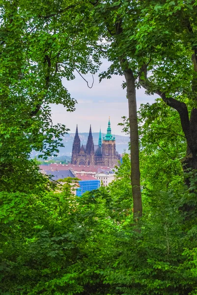 St.Vitus Cathedral seen from a hill — Stock Photo, Image