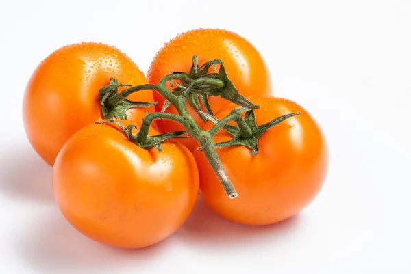 Tomaten auf weißem Hintergrund — Stockfoto
