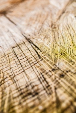 sözcüğüne ahşap