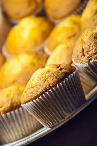 Muffins op plaat — Stockfoto