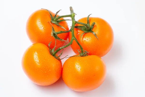 Tomater på en vit bakgrund — Stockfoto