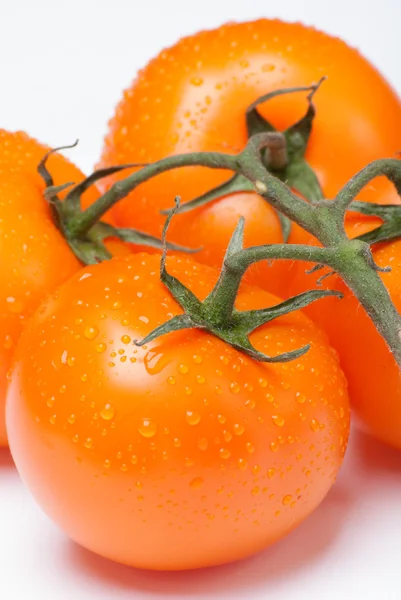 Röda tomater på en vit bakgrund — Stockfoto