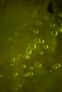 donmuş nehir buz kabarcıkları