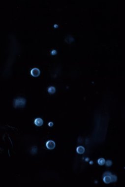 donmuş nehir buz kabarcıkları