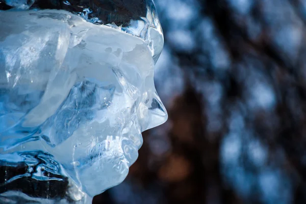 Figurine de glace — Photo