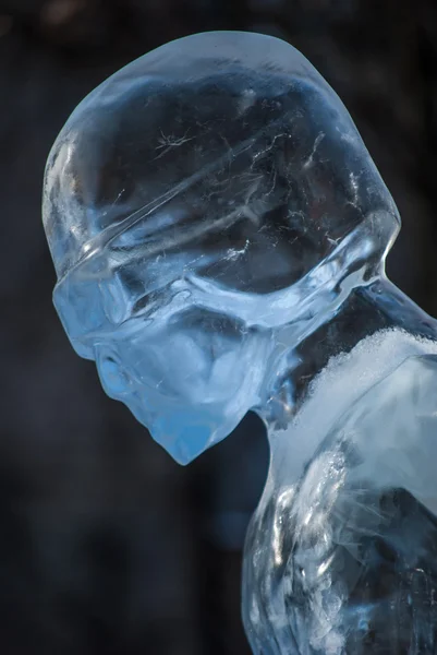 Buz şekil — Stok fotoğraf