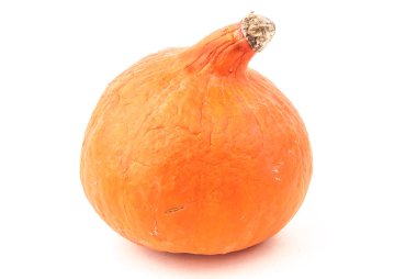 Kırmızı kuri 