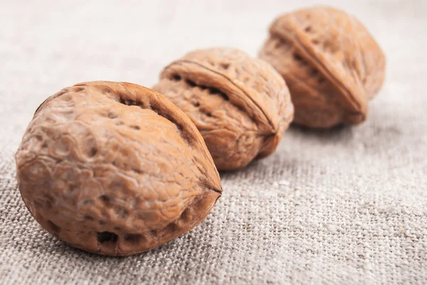 Nueces griegas — Foto de Stock