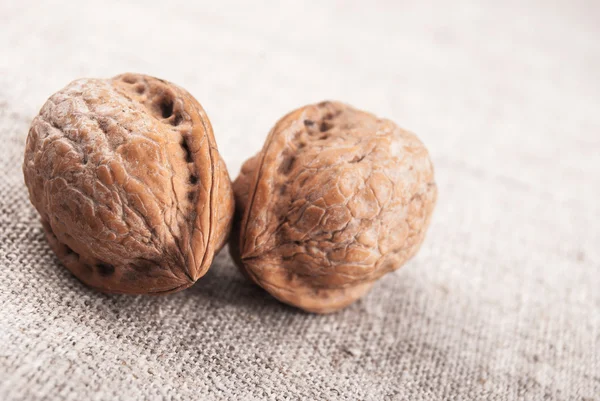 Nueces griegas — Foto de Stock