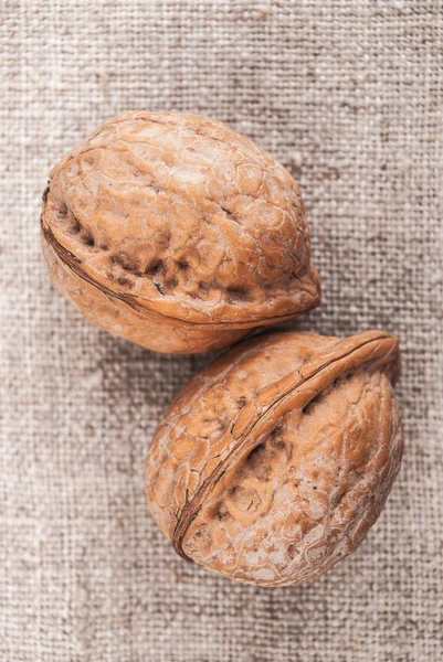 Nueces griegas — Foto de Stock