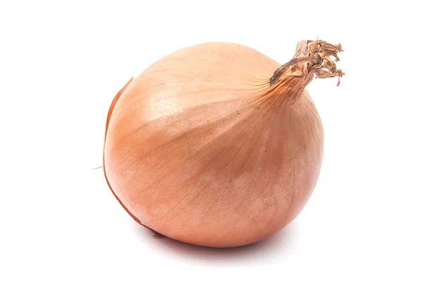 Onion — Stock Photo, Image