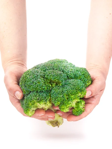 Grön färsk broccoli i händer — Stockfoto