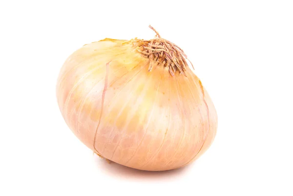 Ripe onion — Stock Photo, Image