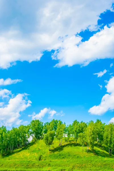 Frühlingslandschaft — Stockfoto