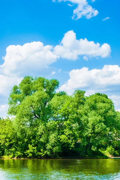 Flussdüne — Stockfoto