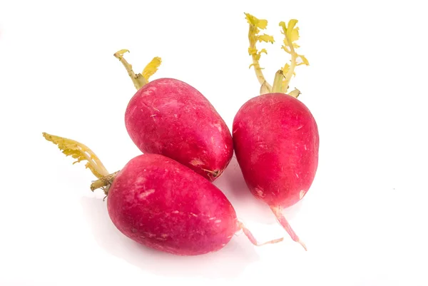 Fresh radish — Stock Photo, Image