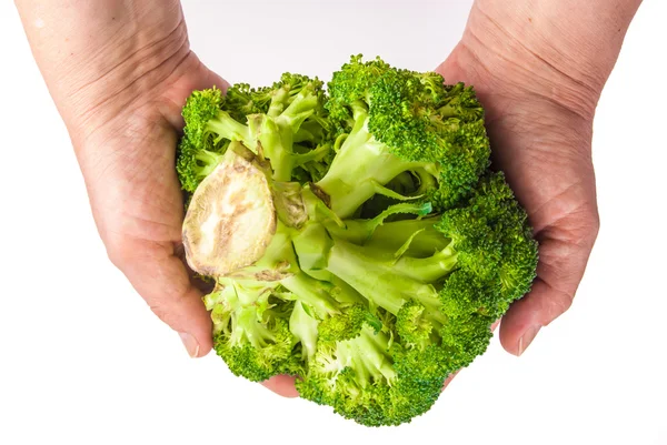 Grön färsk broccoli i händer — Stockfoto