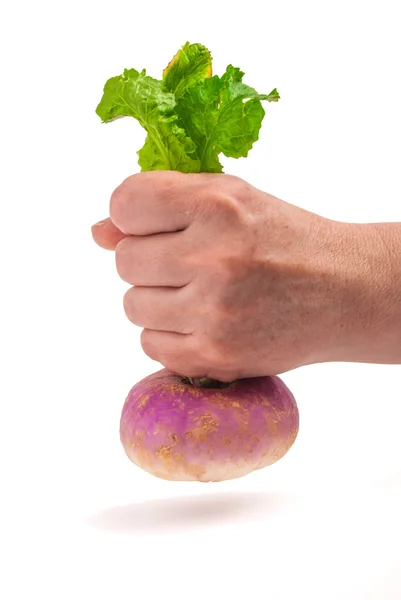 Ripe turnip — Stock Photo, Image