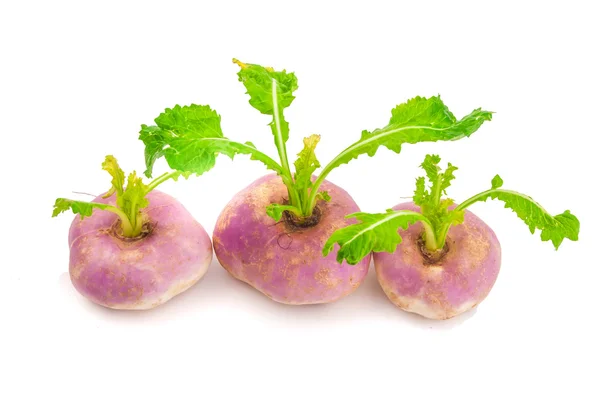 Ripe turnip — Stock Photo, Image