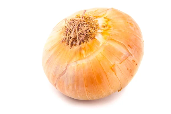 Ripe onion — Stock Photo, Image