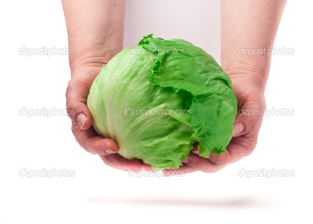 Young fresh green cabbage