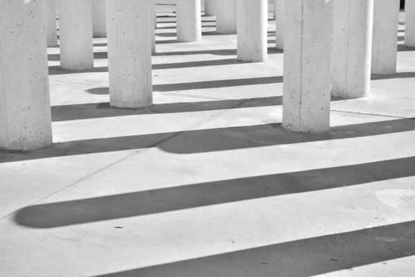 Grupo Colunas Sombras Preto Branco — Fotografia de Stock