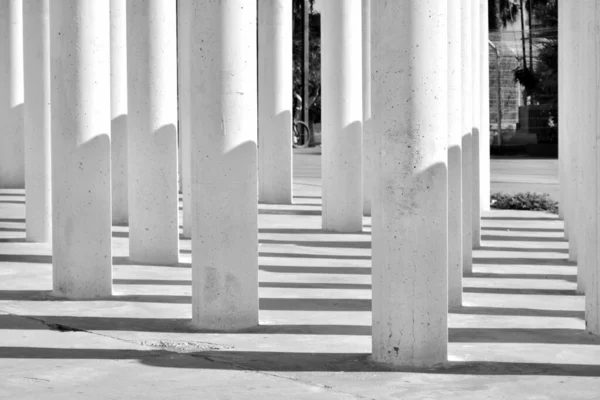 Grupo Colunas Sombras Preto Branco — Fotografia de Stock