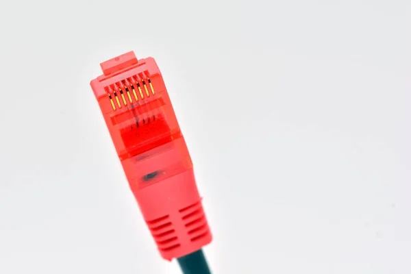 Câble Raccordement Adsl Rouge Isolé Sur Blanc — Photo