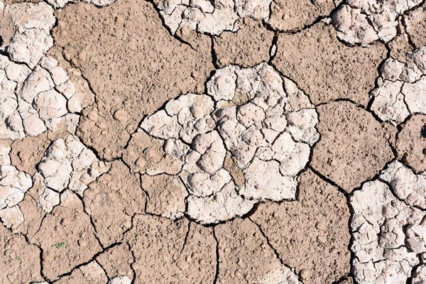 Detail Cracked Earth Dry Lake Due Drought Climate Change — Foto Stock