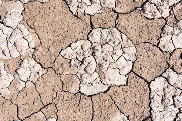 Detail Cracked Earth Dry Lake Due Drought Climate Change — Fotografia de Stock