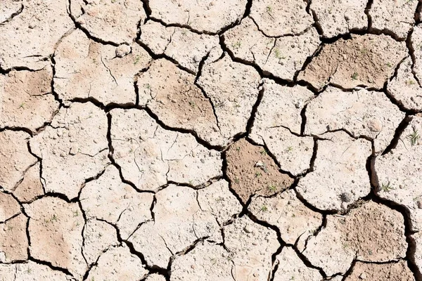 Detail Cracked Earth Dry Lake Due Drought Climate Change — Fotografia de Stock