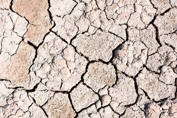 Detail Cracked Earth Dry Lake Due Drought Climate Change — Fotografia de Stock