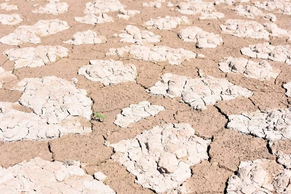 Detail Cracked Earth Dry Lake Due Drought Climate Change — 스톡 사진