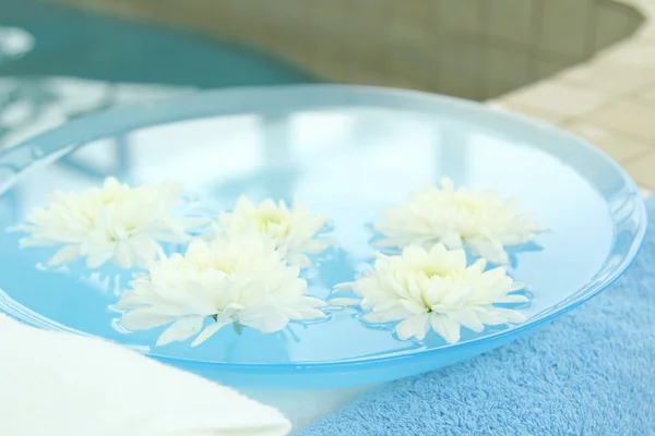 kasımpatı çiçekleri spa