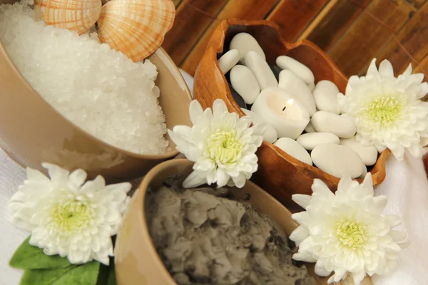 çamur ve deniz tuzu Spa