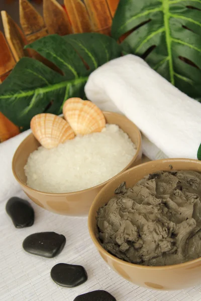çamur ve deniz tuzu Spa