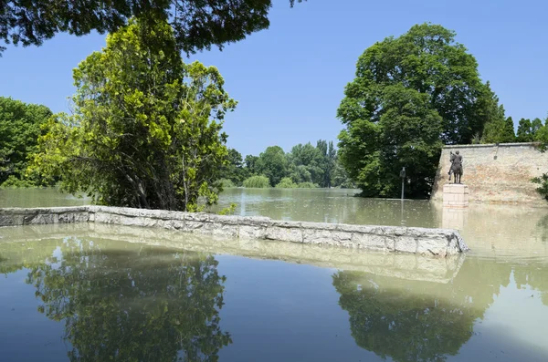 Inondation de la rivière aux murs du château — Photo