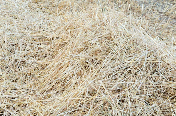 Pile of Straw — Stock Photo, Image