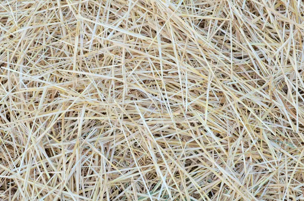 Pile of Straw Close-up — Stock Photo, Image