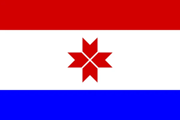 Государственный Большой Плоский Флаг Республики Мордовия Горизонталь — стоковое фото