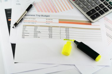 iş gezisi bütçesi raporu