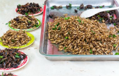 Bölgesel Tayland kızarmış böcekler vardır...