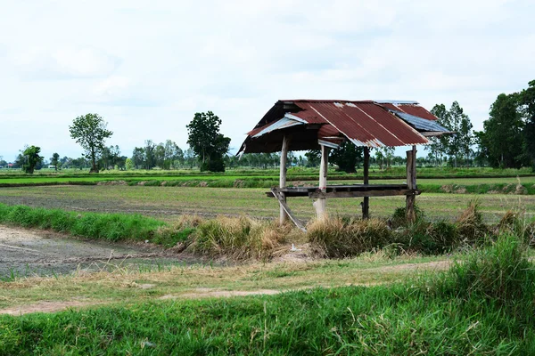 A little hut in farm — Stock Photo, Image