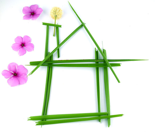 Идея листьев изолированы на белом фоне
