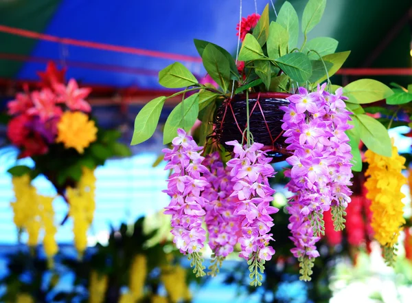 Krásná orchidej plast — Stock fotografie