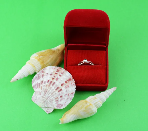 Snubní prsteny v červený kufřík — Stock fotografie