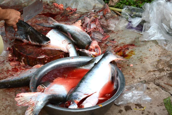 Dissected Pangasius fish — Stock Photo, Image