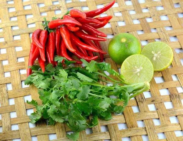 Red chili pepper hot and spicy — Stock Photo, Image