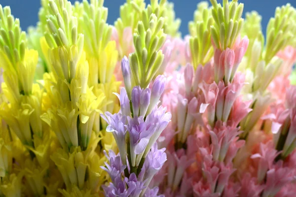 Cores bonitas de flores plásticas — Fotografia de Stock